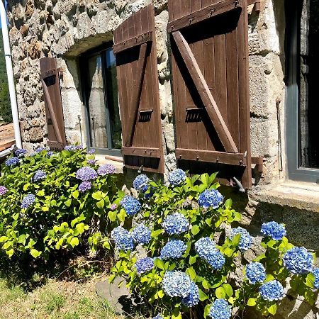 Gite Des Sausses Dans Une Nature Preservee Burzet Exteriér fotografie