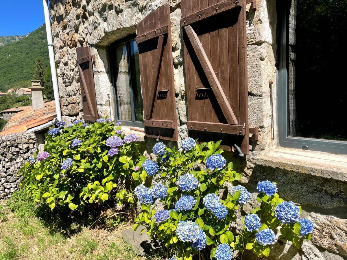 Gite Des Sausses Dans Une Nature Preservee Burzet Exteriér fotografie