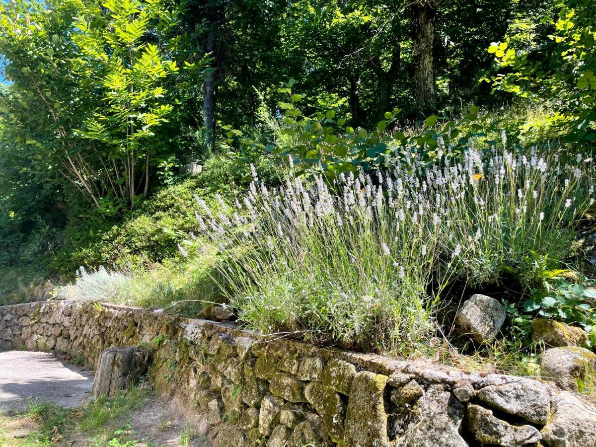 Gite Des Sausses Dans Une Nature Preservee Burzet Exteriér fotografie