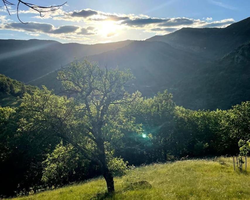 Gite Des Sausses Dans Une Nature Preservee Burzet Exteriér fotografie